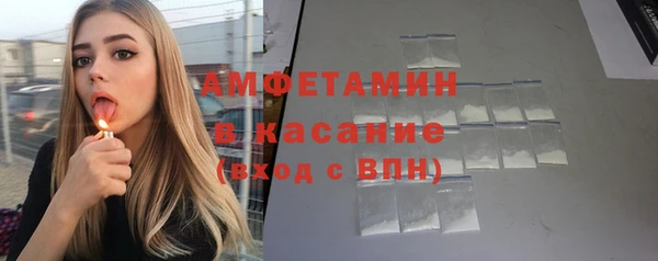 шишки Горнозаводск